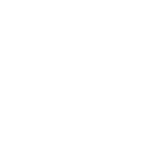 Intima