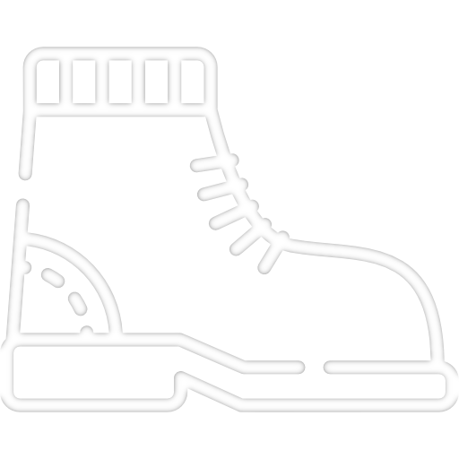 Bota
