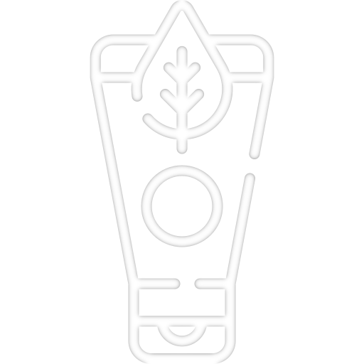 Mão